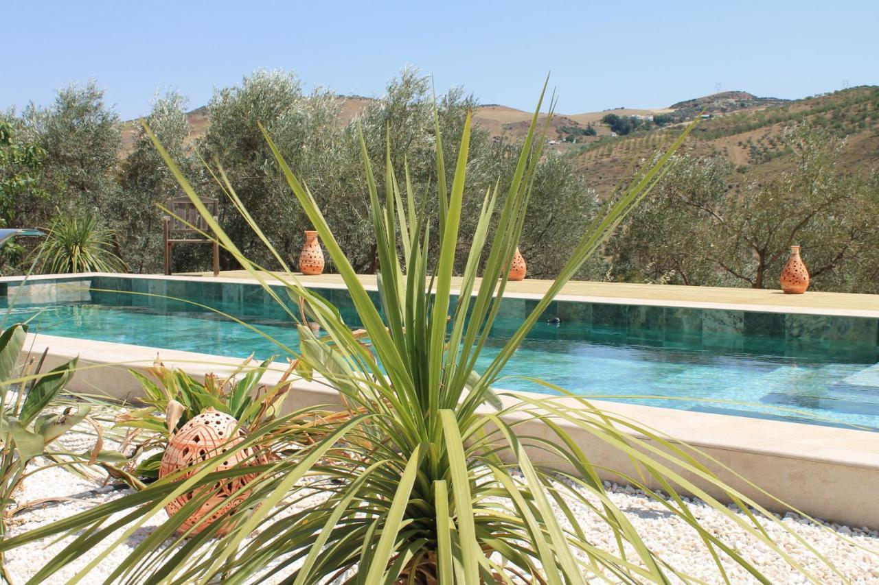 Finca Altozano - Private Pool - Unique Client Valle de Abdalagis Ngoại thất bức ảnh